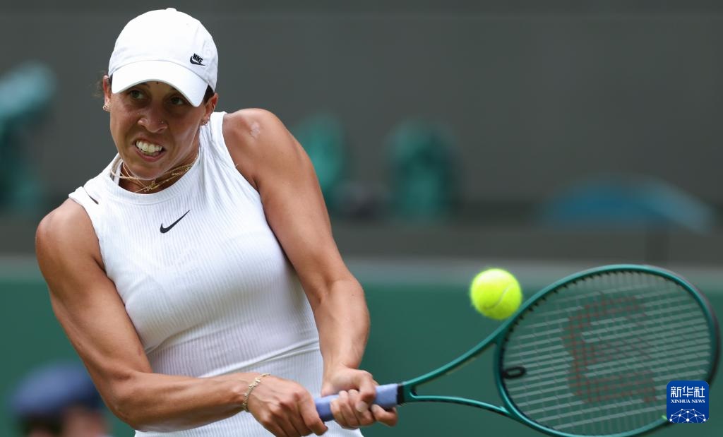 在她的职业 在她的职业